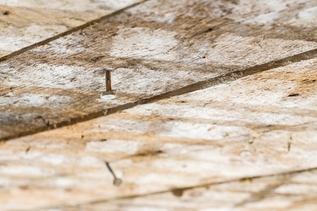 Nails in old wooden ceiling. Dirty boards background. Old wood plank backdropの写真素材