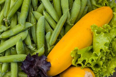Lettuce green peas and yellow squash. Vegetable diet plant. Vegan food ingredientの写真素材