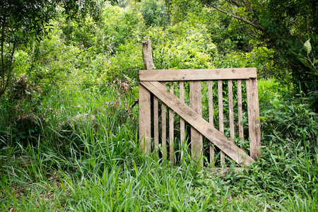 the gate in the woods
