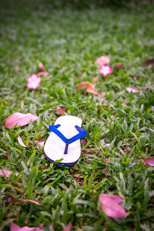 Lonely in nature and On the path to walk aloneの写真素材