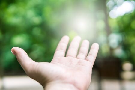 Nature return to the forest With happy feelings.の写真素材