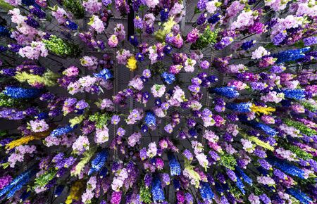 Colorful flowers On the ceiling There are various species of flowers were hung on the ceiling. The sense of luxury And in the backgroundの写真素材