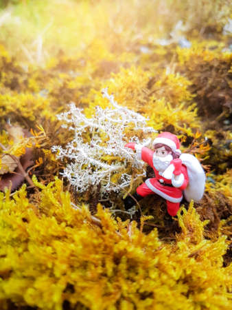 Model girls wearing Santa suit and to distribute gifts On Christmas and New Year's Day.の写真素材