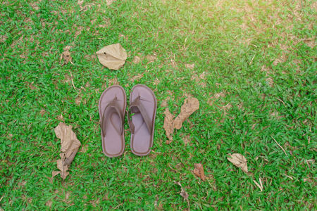 Slippers that were placed on the green grass.and travel to watch the nature of trees and forests.and to relieve stress. Use as a background.の写真素材