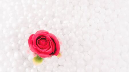 Red roses are given as gifts on important dates. Such as Valentine's Day. And it is to demonstrate the love and it can be used as a background.の写真素材