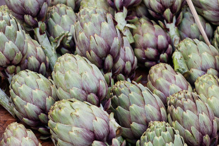 close up of artichokes at marketの写真素材