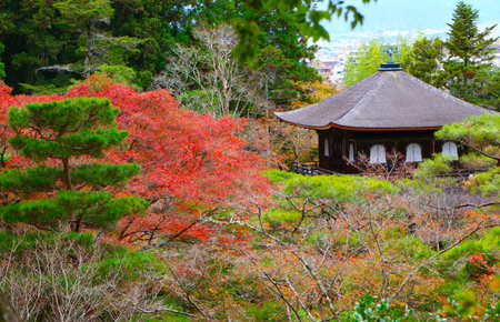 Ginkakuji Temple in autumn