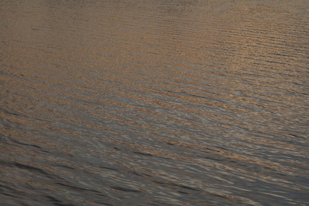 Reflections