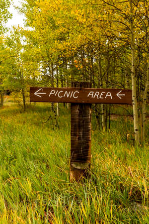 picnic area sign in the aspensの写真素材