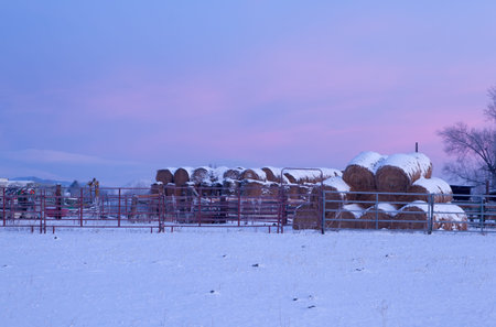 Bales of Hay stacked on a farm covered in snow at sunrise