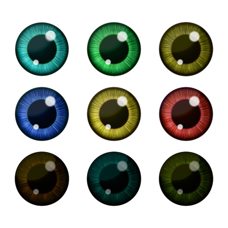 Vector color eyes collection. Human pupilのイラスト素材