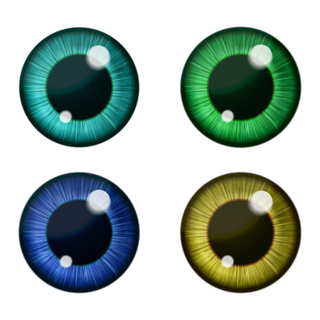 Vector color eyes collection. Human pupilのイラスト素材