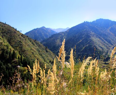 Summer Mountains valley with sun in Medeo, Chimbulak, Almaty, Kazakhstan, Asiaの写真素材