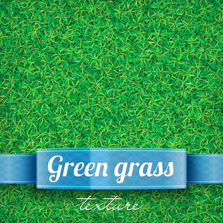 Green grass field textured backgroundのイラスト素材