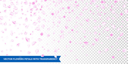 Flowers petals falling on  transparent background. Wedding, Valentine or Women day pink floral blossoms flying in wind whirl backdrop