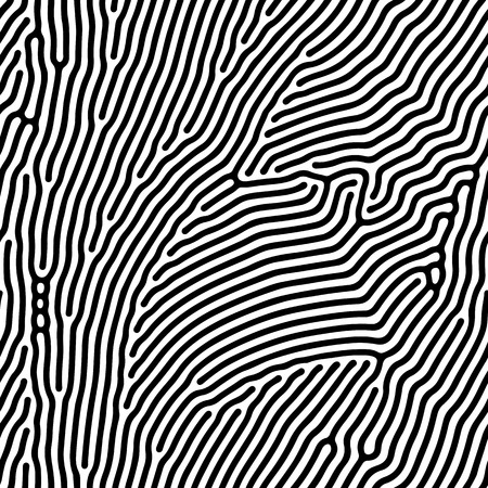 Abstract background of vector organic irregular fingerprint style lines maze pattern. Black and white chaotic designのイラスト素材