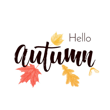 Hello Autumn text poster of September leaf fall or autumnal foliage of maple, oak acorn and elm for shopping sale design or promo poster and leaflet or web bannerのイラスト素材
