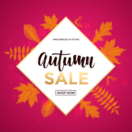 Autumn gold sale poster or September shopping promo banner for autumnal 50 percent discount. Vector maple and oak acorn leaf foliage and discount text design for shop poster, leaflet or web bannerのイラスト素材