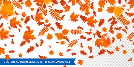 Autumn leaves failing pattern on transparent background.のイラスト素材