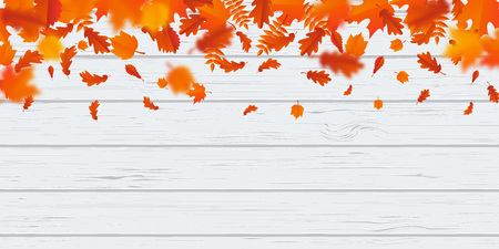 Autumn leaf fall or autumnal falling leaves on white wooden background. Vector orange foliage flying in wind motion blur. Maple, rowan or chestnut and poplar leaf pattern for autumn designのイラスト素材