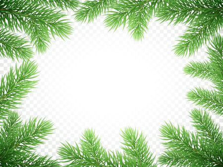 Christmas holiday greeting card background template of New Year fir or pine tree branch wreath frame. Vector Christmas or New Year banner decoration design on transparent luxury whiteのイラスト素材