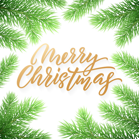Gold Christmas text card on white background with green Christmas trees branches. Golden xmas textのイラスト素材