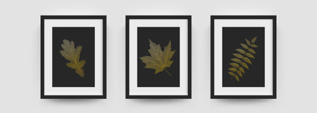Photo frames mockup, wall pictures or posters vector modern white and black box. Photo frame mockups...