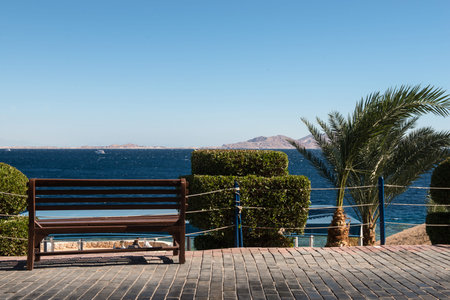 beautiful evening views of the red seaの写真素材