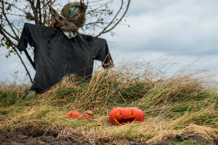 Halloween Pumpkin and scarecrow in countrysideの写真素材