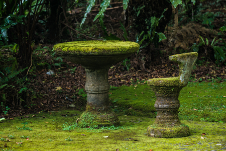 The table and chair are covered with natural moss. Natural moss on furniture.の写真素材