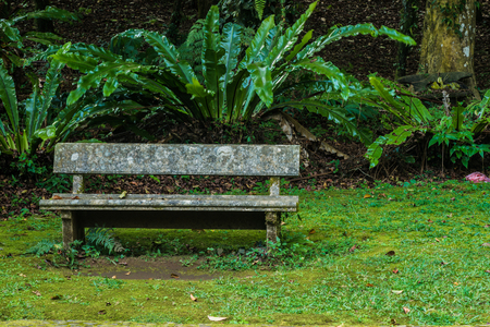 old stone bench in the forestの写真素材