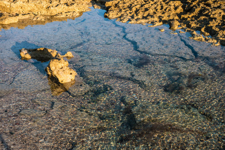 Puddles on the surface of the reef at low tide in the eveningの写真素材