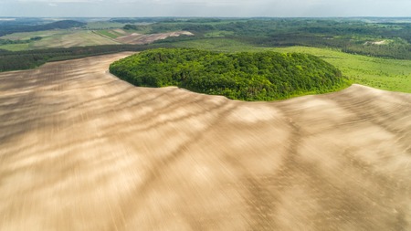 Aerial view of mystical green trees island on a fieldの写真素材