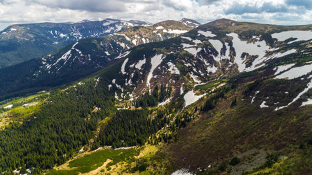 Aerial view of beautiful Carpathian mountains in summer.