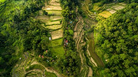 Amazing Landscape Above Rice Terracesの写真素材