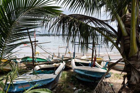 Fishing boats on the beach near palm treesの写真素材