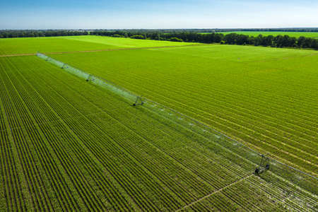 Agricultural irrigation system for irrigation of a corn field on a sunny summer day aerial view.の写真素材