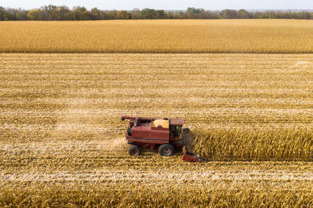 Red farm combine harvesting corn on an autumn day aerial view.の写真素材