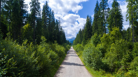 The Mount Hoverla from the road. Carpathian Mountains in Ukraine aerial view