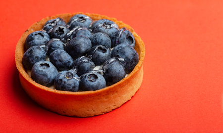 Blueberry tart on red background close-upの写真素材