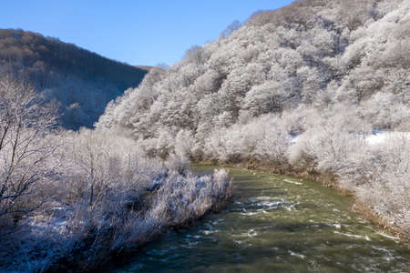 Mountain raging river flows between snowy trees aerial viewの写真素材