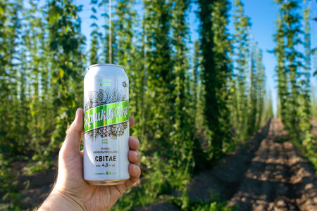 KYIV, UKRAINE - August 03, 2023: Zhashkivske - craft beer in Ukraine against the backdrop of a hop field New Brew Productionのeditorial素材
