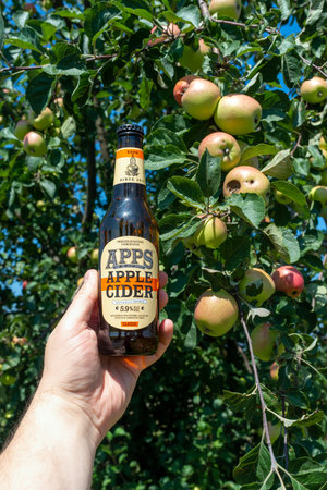 KYIV, UKRAINE - August 04, 2023: Apple cider drink or fermented fruit drink on organic apples background. Apps cider the most popular craft drink in Ukraine and Israel. Verticalのeditorial素材