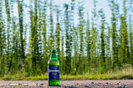 KYIV, UKRAINE - August 03, 2023: Heisenberg - new craft beer in Ukraine against the backdrop of a hop field New Brew productionのeditorial素材