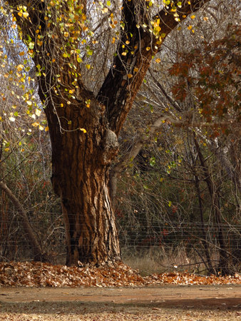 winter texturesの写真素材