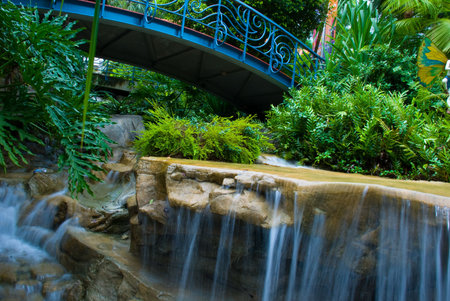 Garden with waterfall