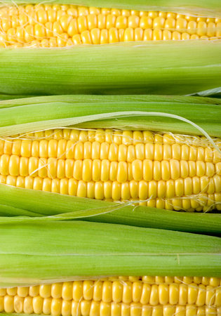Abstract corn pattern