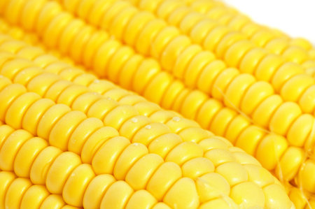 Close up corn