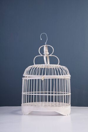 Bird cageの写真素材