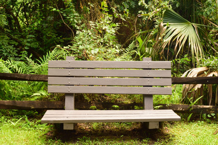 A wooden bench in a peaceful setting at a nature park in Florida.の写真素材